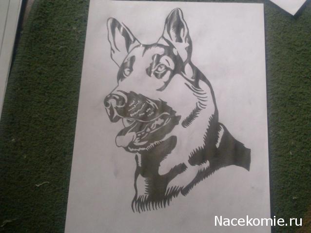 The Dog Collection Болталка