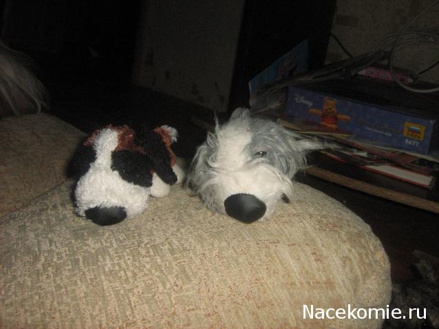 The Dog Collection Болталка