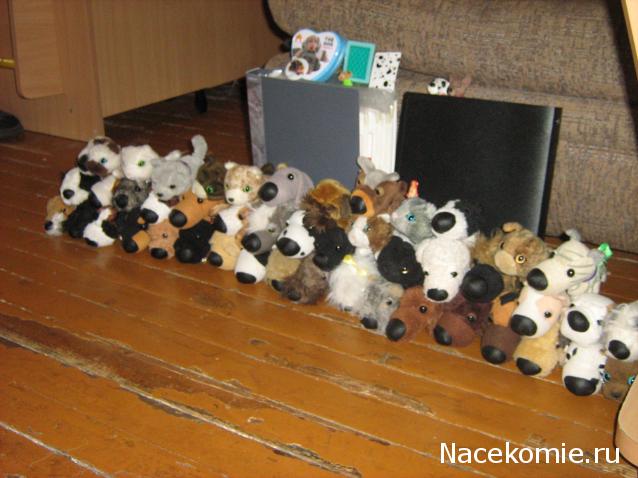 The Dog Collection Болталка