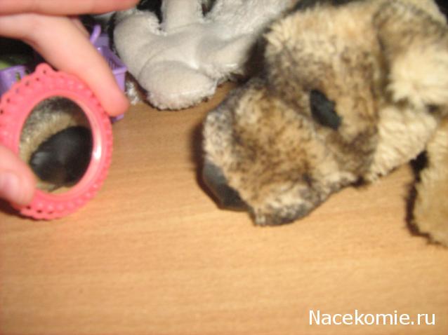 The Dog Collection №70 Бельгийская овчарка Малинуа