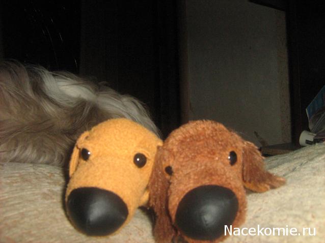 The Dog Collection Болталка