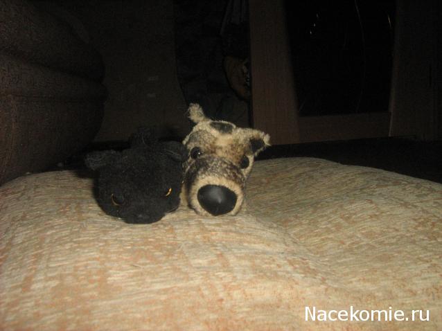 The Dog Collection Болталка