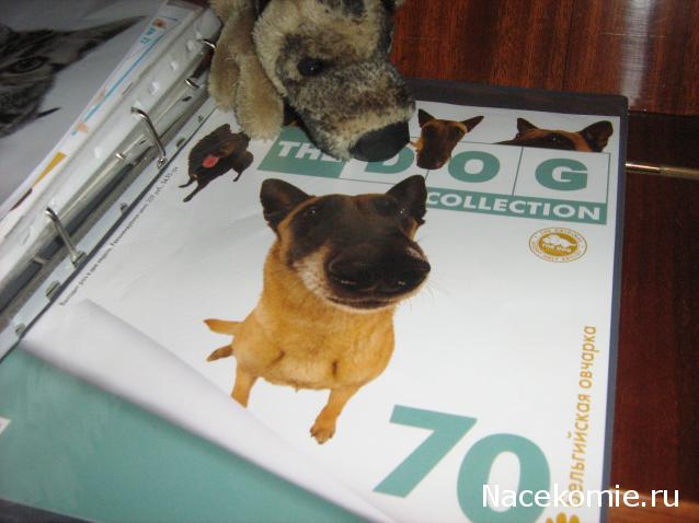 The Dog Collection №70 Бельгийская овчарка Малинуа