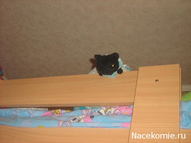 Кошкин дом. Болталка The Cat Collection