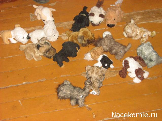 The Dog Collection Болталка