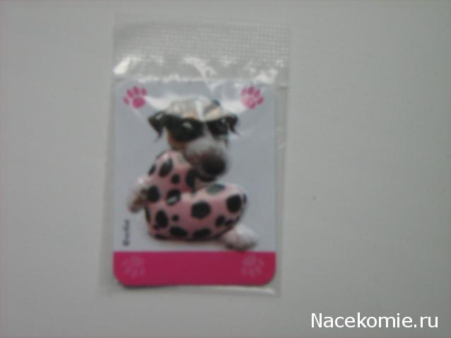 The Dog Collection Болталка