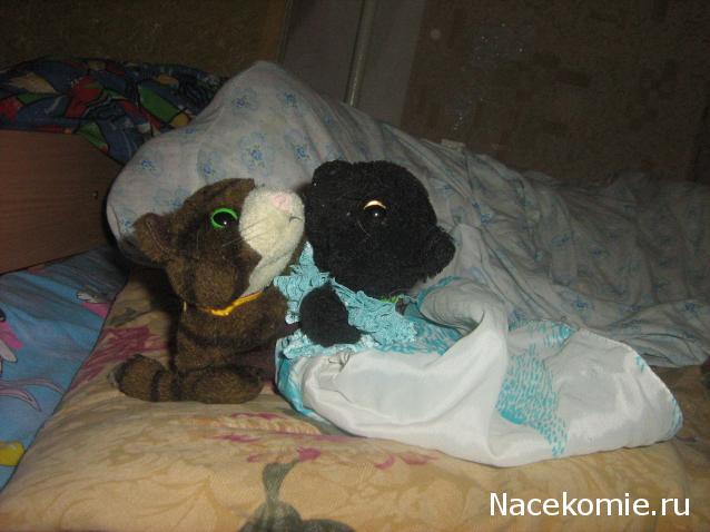 Кошкин дом. Болталка The Cat Collection