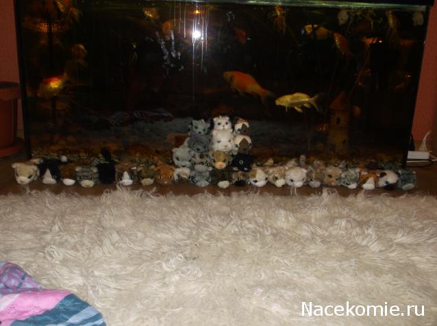 Кошкин дом. Болталка The Cat Collection