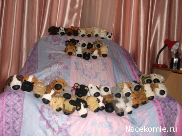 The Dog Collection Болталка