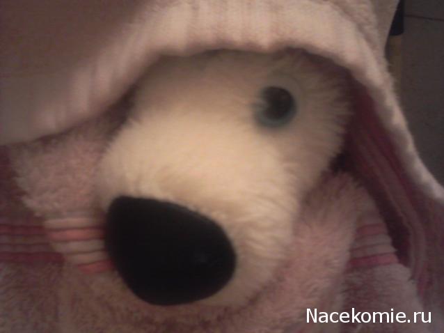 The Dog Collection Болталка