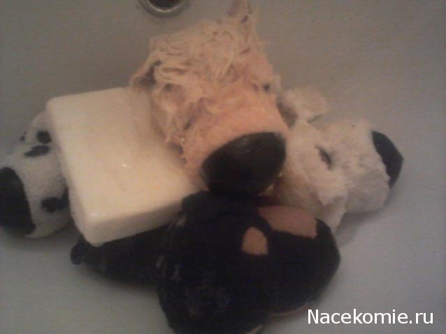 The Dog Collection Болталка