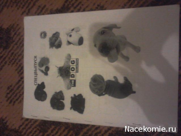 The Dog Collection Болталка