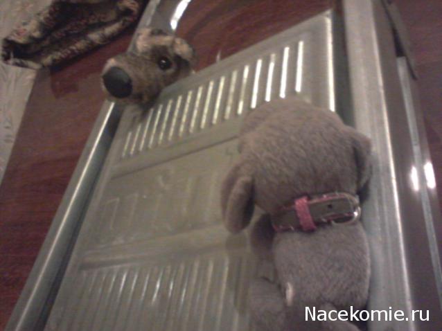 The Dog Collection Болталка