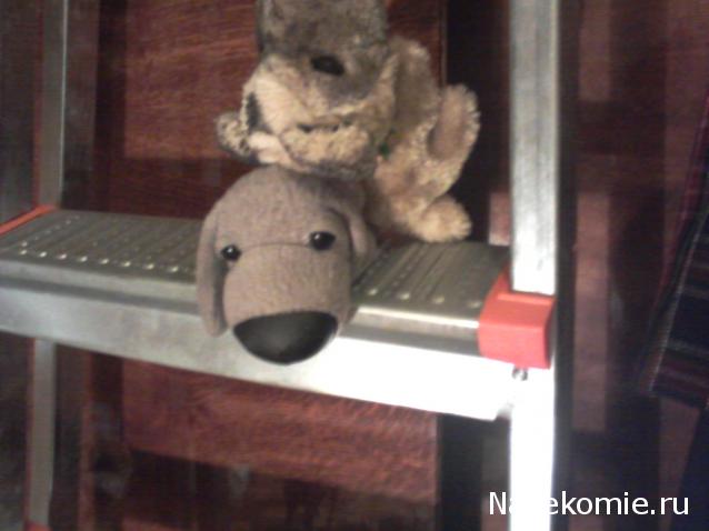 The Dog Collection Болталка