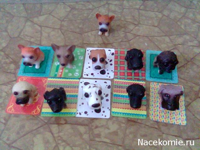 The Dog Collection Болталка