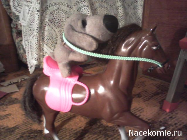 The Dog Collection Болталка