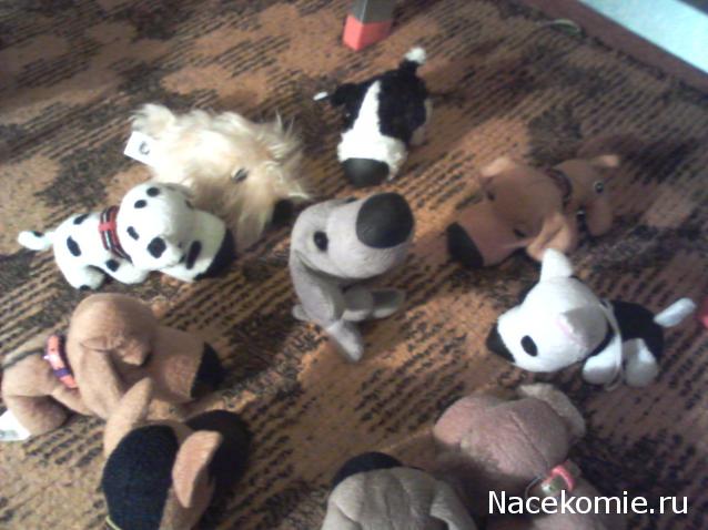 The Dog Collection Болталка