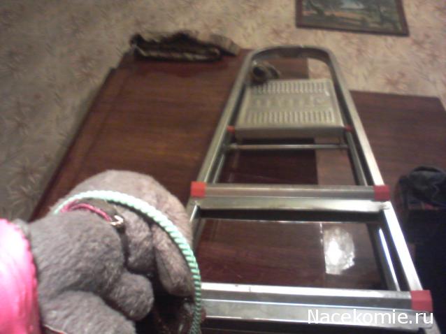 The Dog Collection Болталка