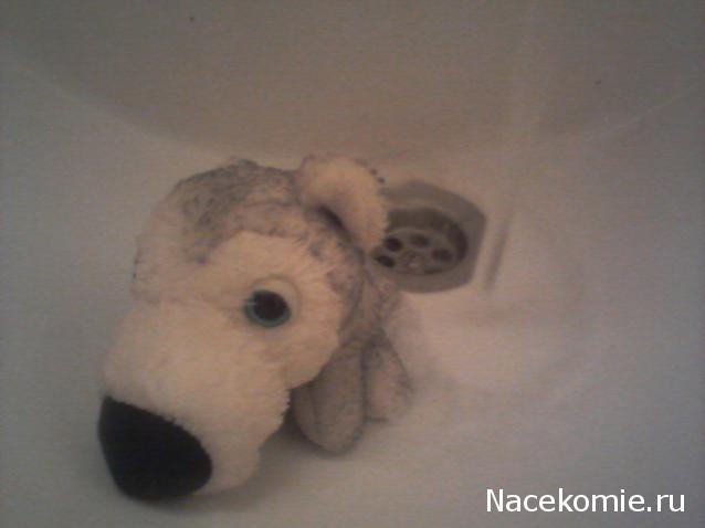 The Dog Collection Болталка