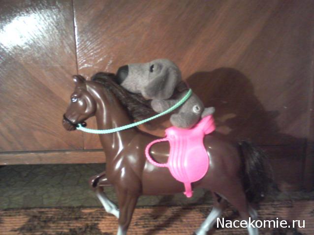 The Dog Collection Болталка