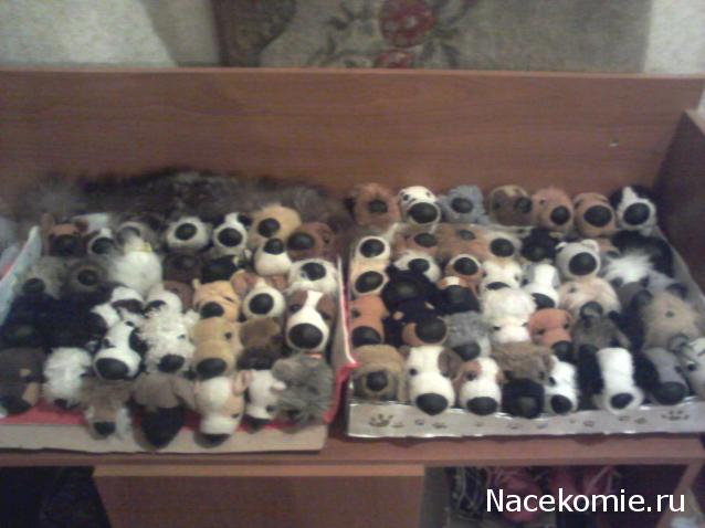 The Dog Collection Болталка