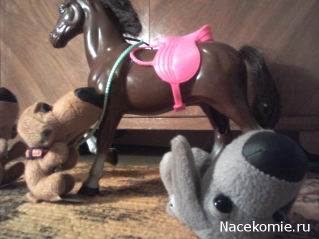 The Dog Collection Болталка