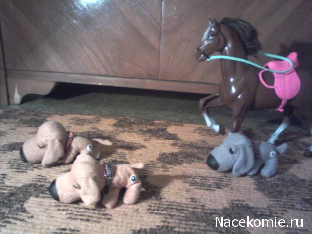 The Dog Collection Болталка