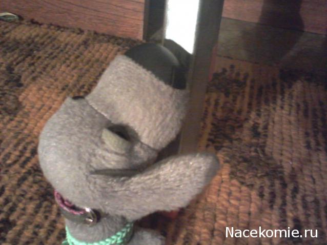 The Dog Collection Болталка