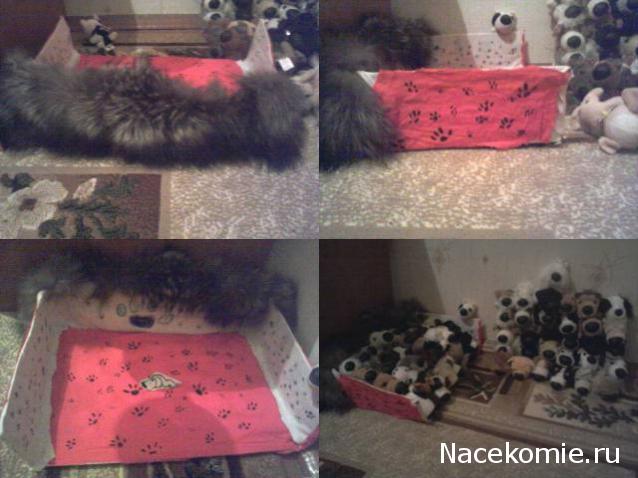 The Dog Collection Болталка