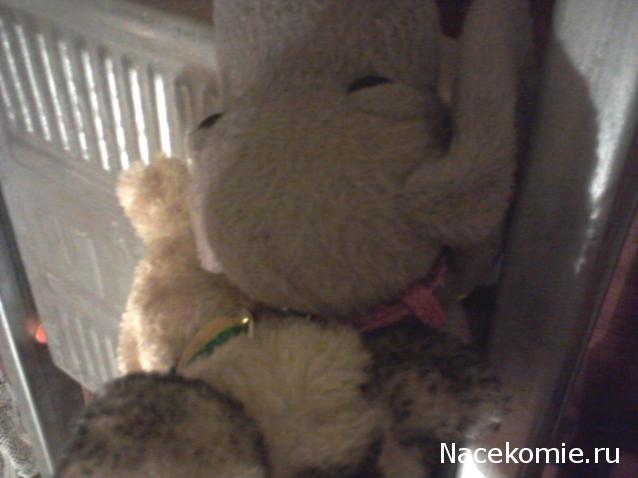 The Dog Collection Болталка