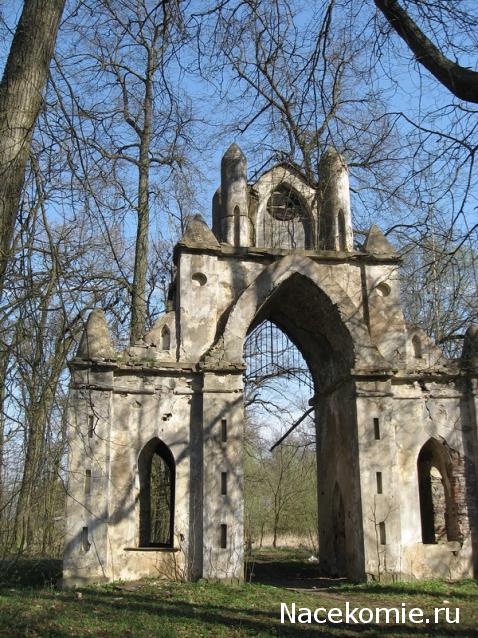 Фотоотчеты с Выставок