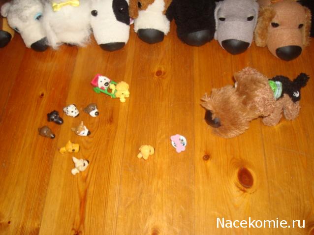 The Dog Collection Болталка