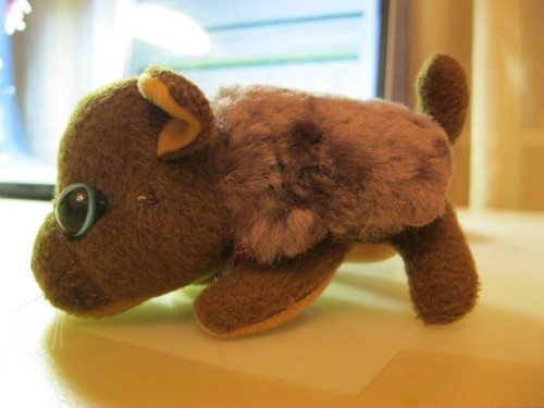 Кошкин дом. Болталка The Cat Collection