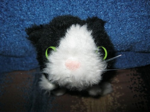 Кошкин дом. Болталка The Cat Collection