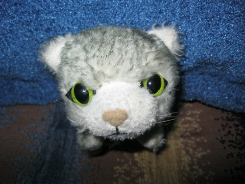 Кошкин дом. Болталка The Cat Collection