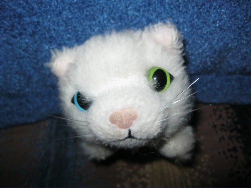 Кошкин дом. Болталка The Cat Collection