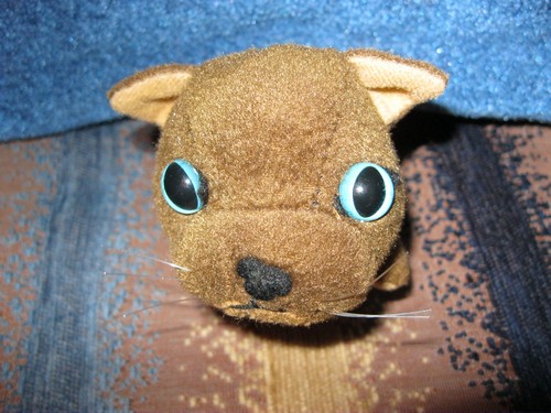 Кошкин дом. Болталка The Cat Collection