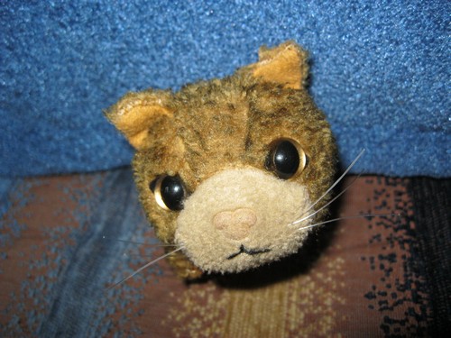 Кошкин дом. Болталка The Cat Collection