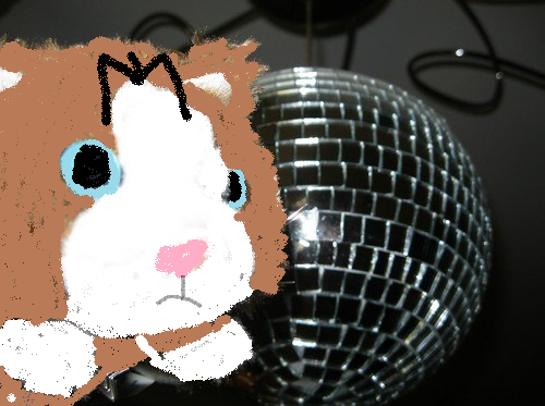 Кошкин дом. Болталка The Cat Collection