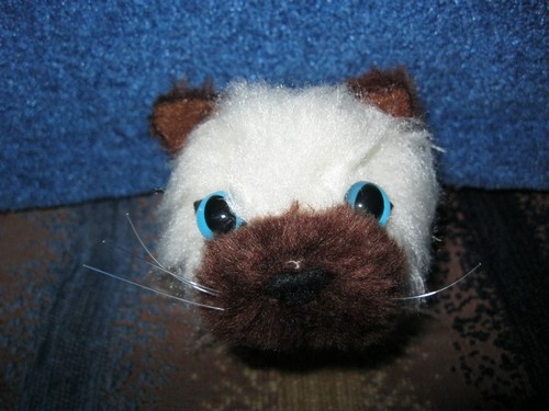 Кошкин дом. Болталка The Cat Collection