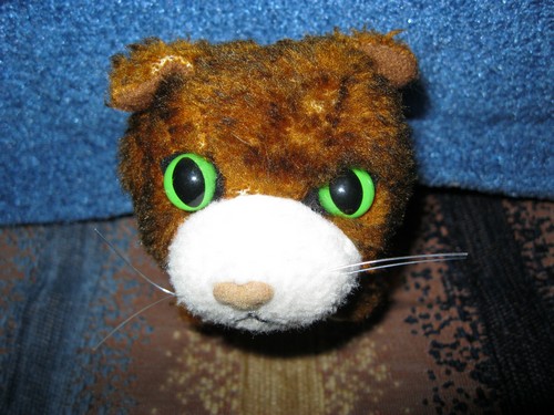 Кошкин дом. Болталка The Cat Collection