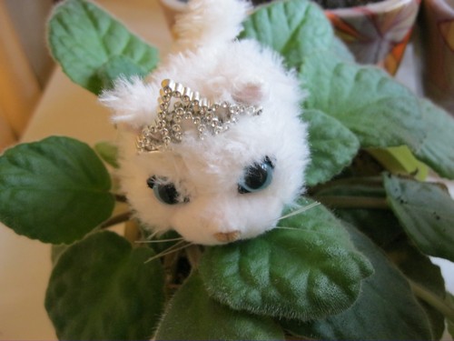 Кошкин дом. Болталка The Cat Collection