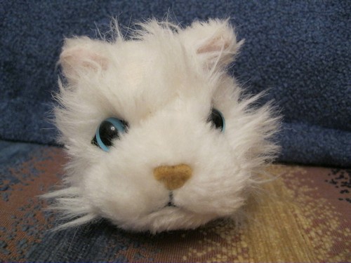 Кошкин дом. Болталка The Cat Collection