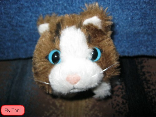 Кошкин дом. Болталка The Cat Collection