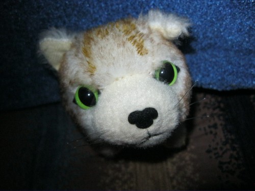 Кошкин дом. Болталка The Cat Collection