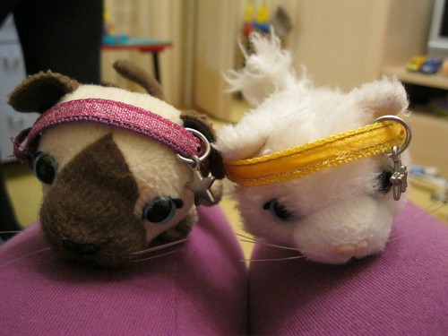 Кошкин дом. Болталка The Cat Collection