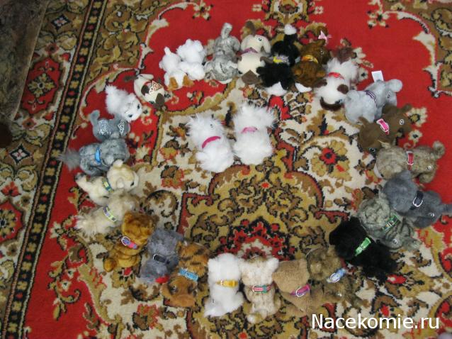 Кошкин дом. Болталка The Cat Collection