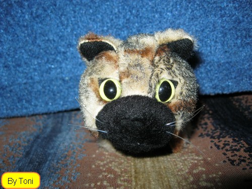 Кошкин дом. Болталка The Cat Collection