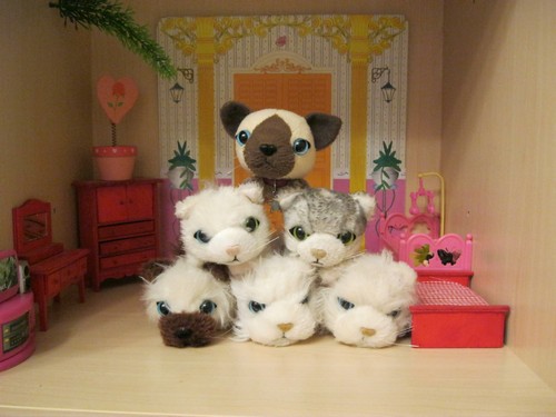 Кошкин дом. Болталка The Cat Collection