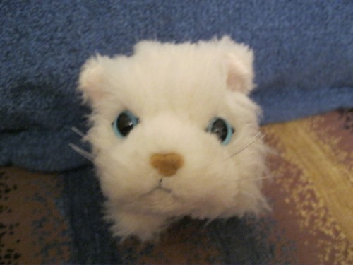 Кошкин дом. Болталка The Cat Collection